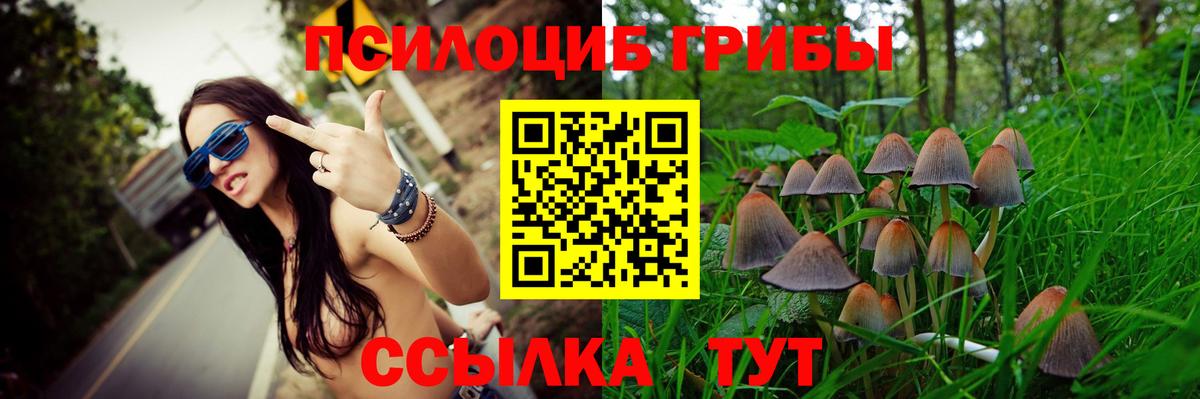Тверь  Псилоцибиновые грибы Magic Shrooms  Вход с VPN  Псилоцибиновые грибы GOLDEN TEACHER 